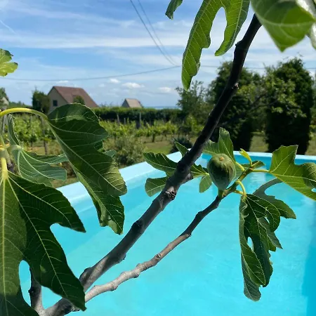 Fuege Vendeghaz Tatil Evi *