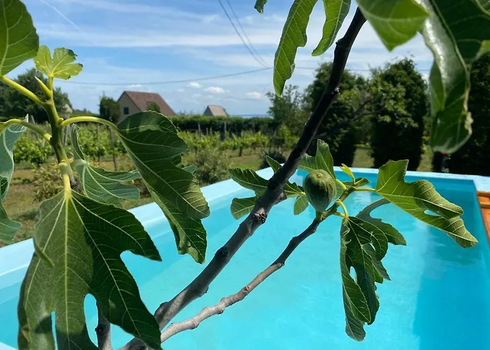 Fuege Vendeghaz Tatil Evi *