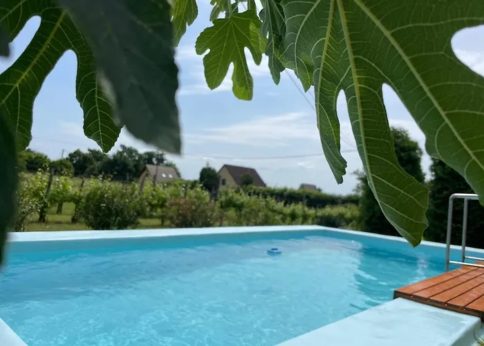 Fuege Vendeghaz Tatil Evi *